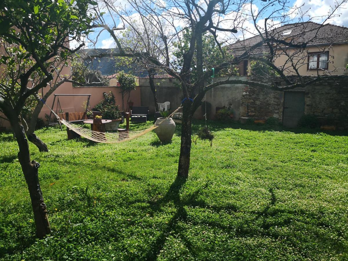 Zia Chiarina Bed and Breakfast San Nicolo Gerrei Exteriör bild
