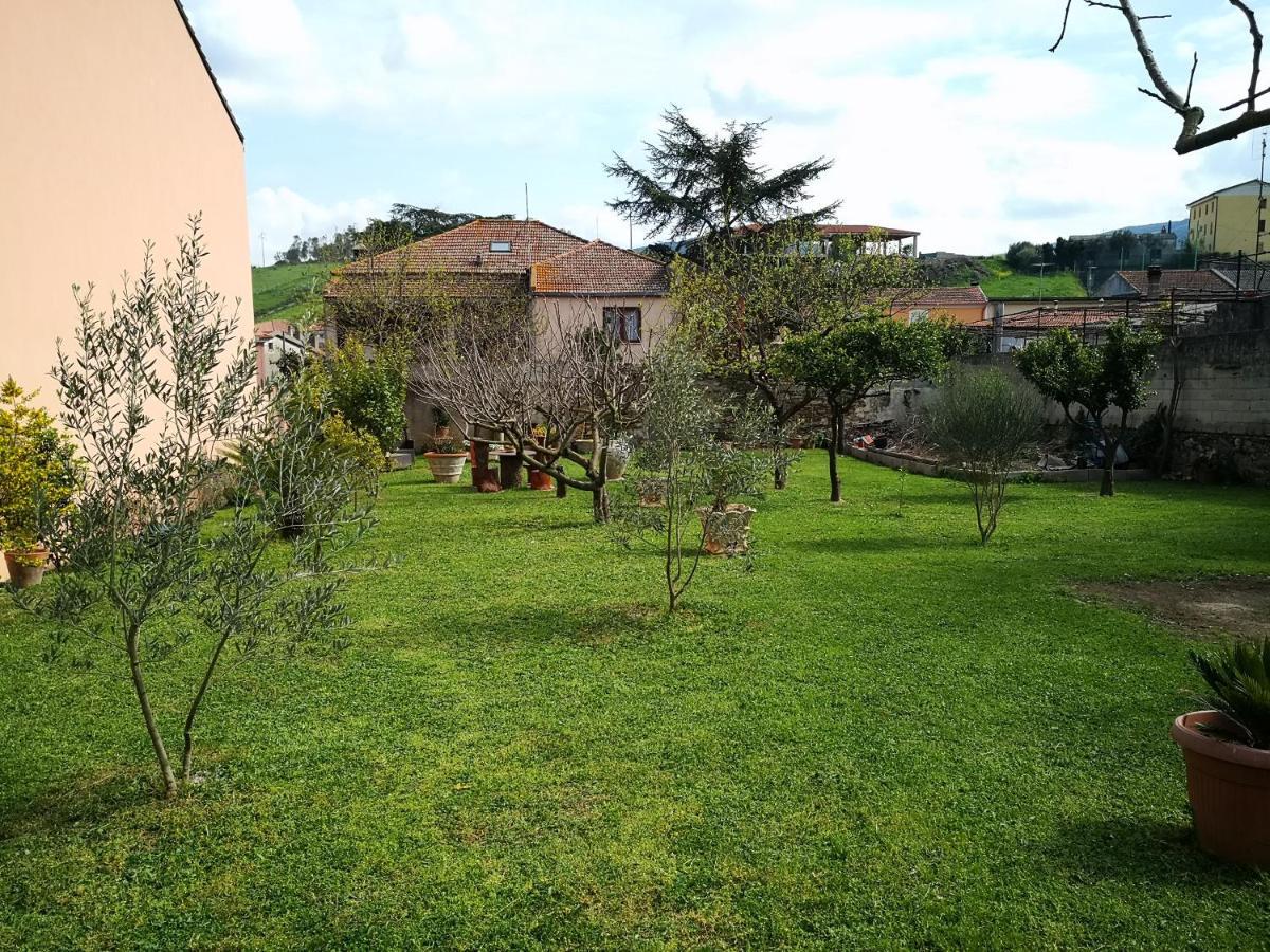 Zia Chiarina Bed and Breakfast San Nicolo Gerrei Exteriör bild