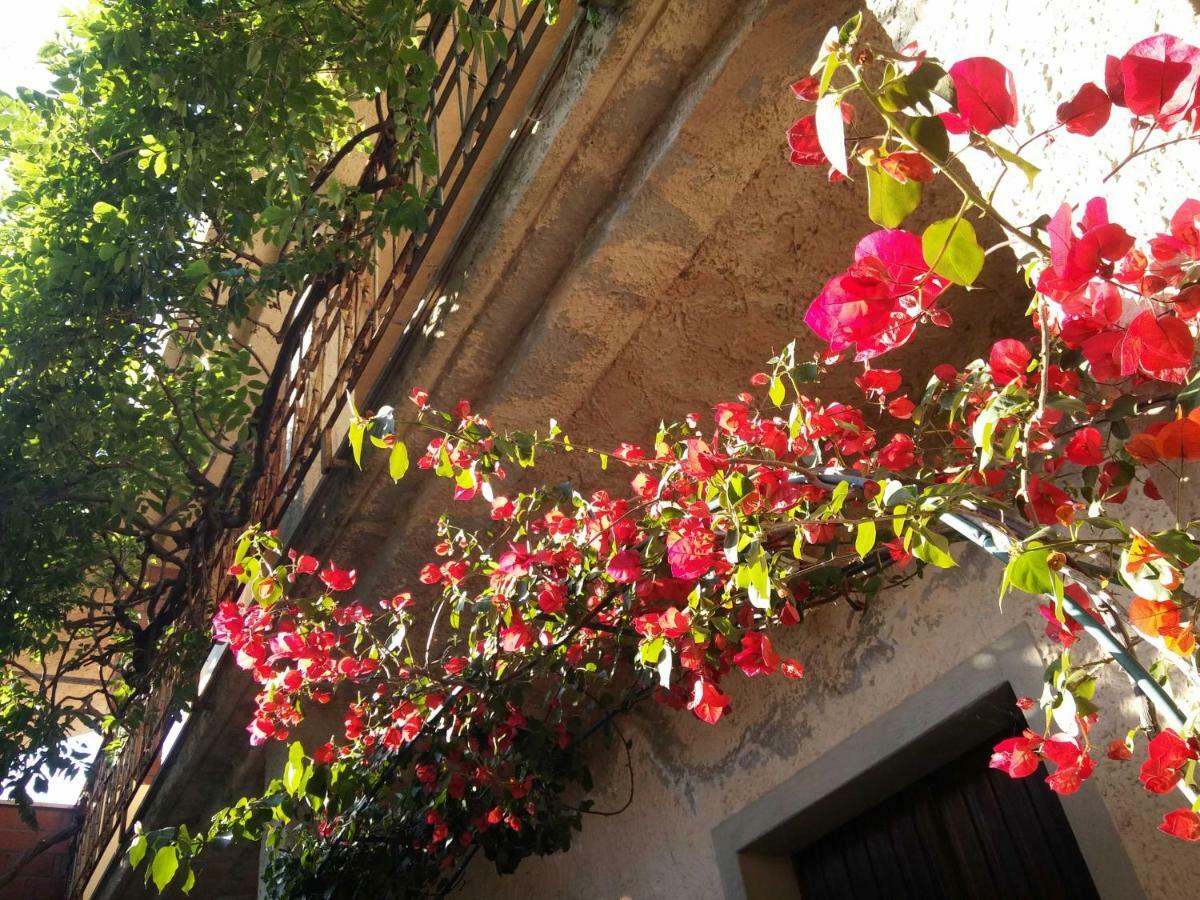 Zia Chiarina Bed and Breakfast San Nicolo Gerrei Exteriör bild