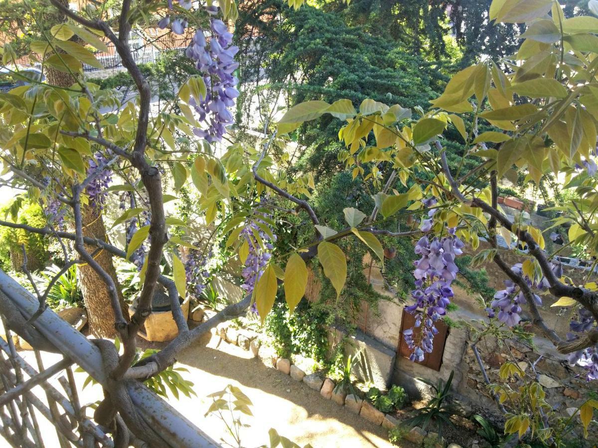 Zia Chiarina Bed and Breakfast San Nicolo Gerrei Exteriör bild