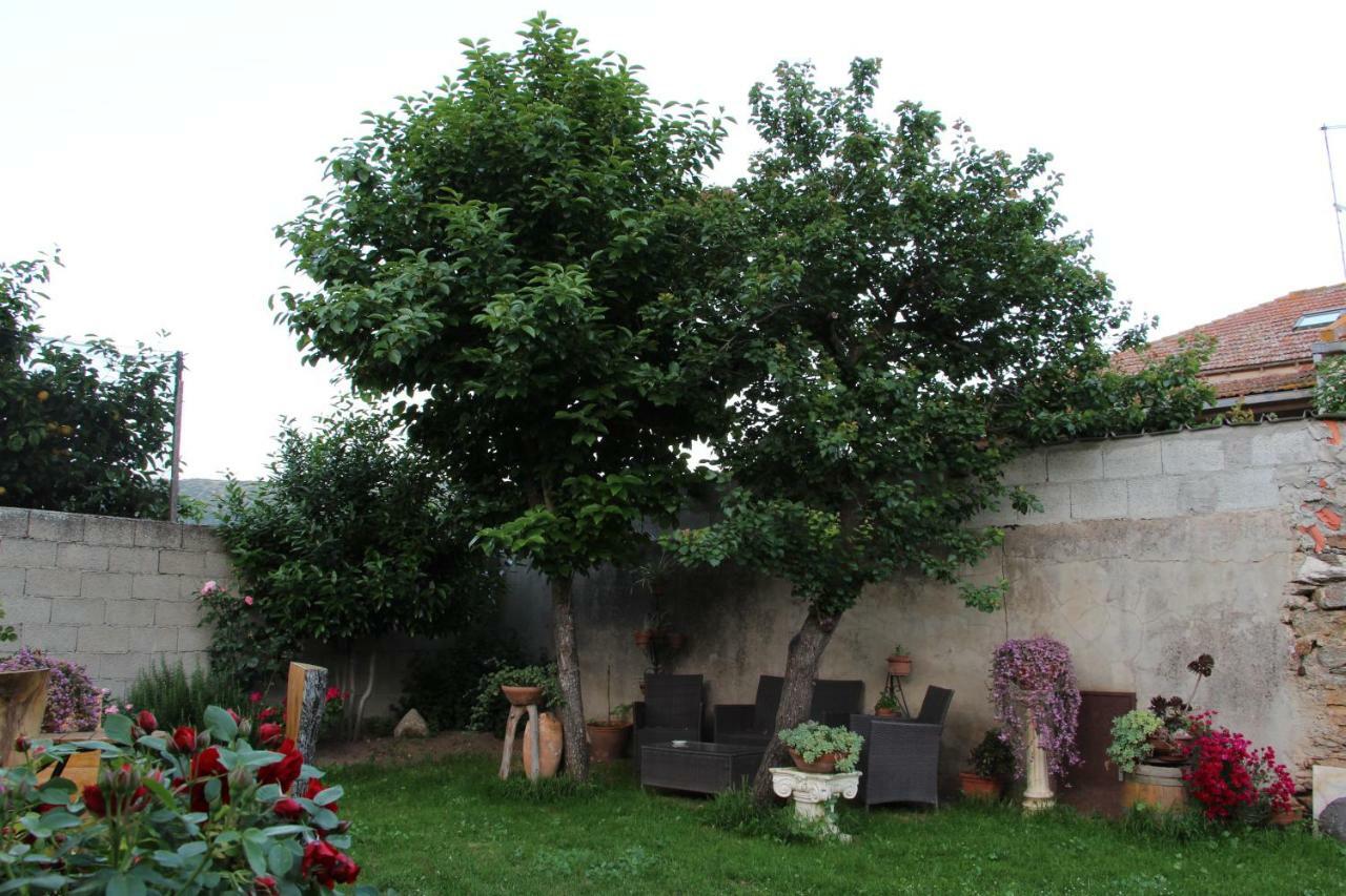 Zia Chiarina Bed and Breakfast San Nicolo Gerrei Exteriör bild