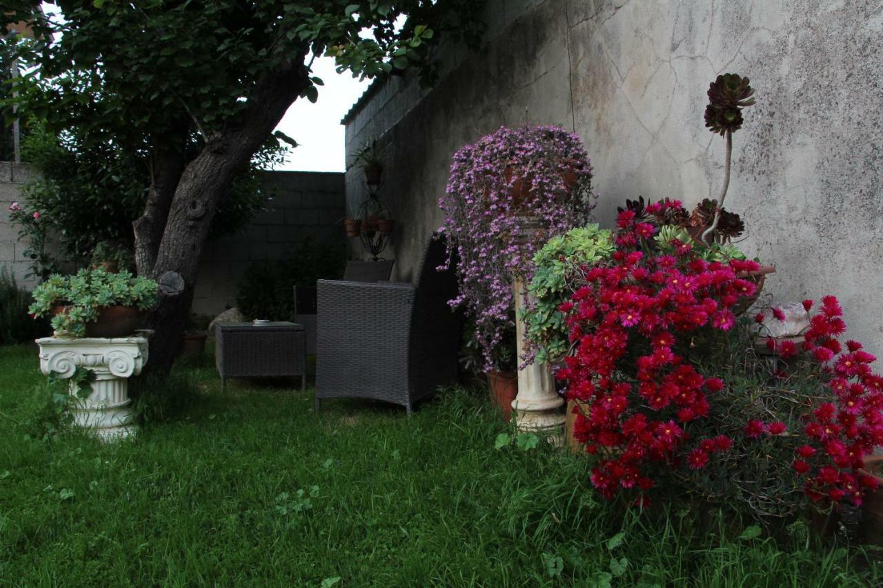 Zia Chiarina Bed and Breakfast San Nicolo Gerrei Exteriör bild